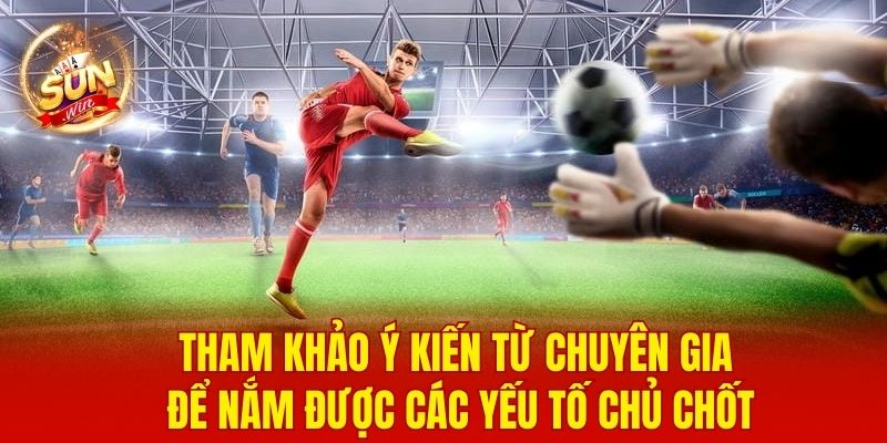 Tham khảo ý kiến từ chuyên gia để nắm được các yếu tố chủ chốt